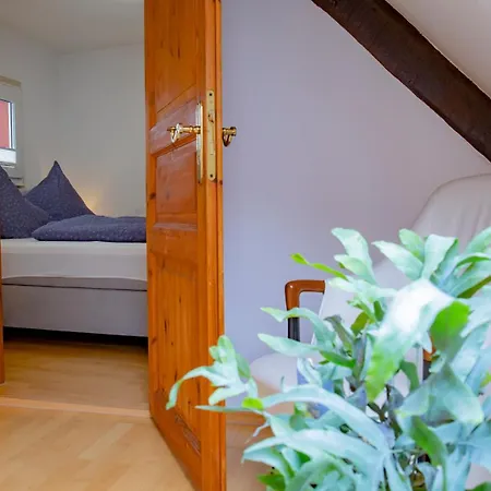 Zum Kompeskopf - Mit Moselblick 特赖斯-卡尔登